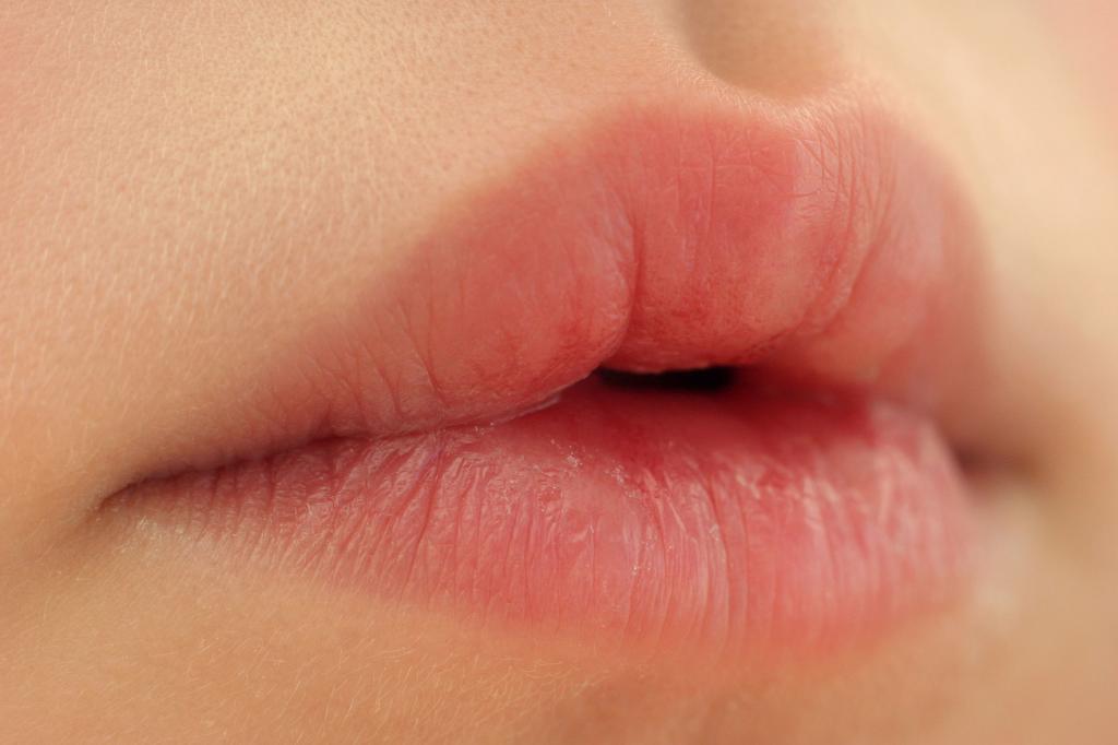 Как сделать губы мягкими в домашних условиях: народные рецепты