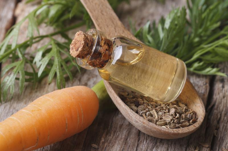 Морковное масло: применение, свойства, отзывы