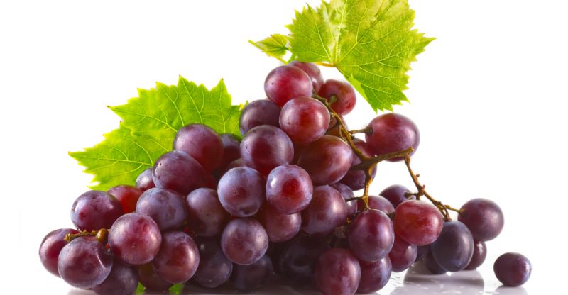 Крем «Либридерм стволовые клетки винограда»: отзывы и описание продукта